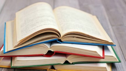 Blog 1- creado por el administrador Muestra en hOme