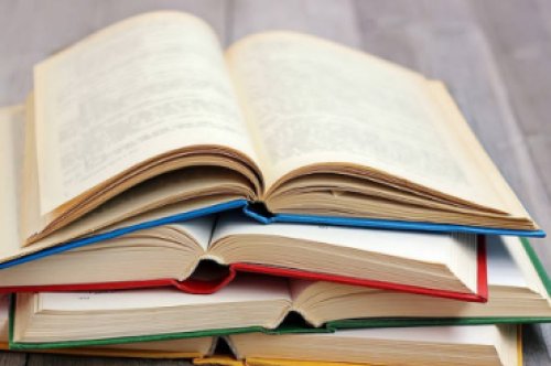 Blog 12 - literatura