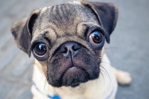 new - nuevo post blog nuevos cambios