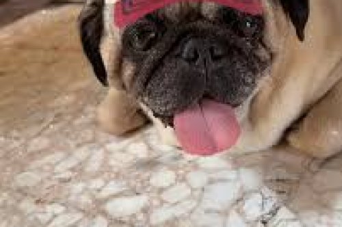 esto es de prueba is draft